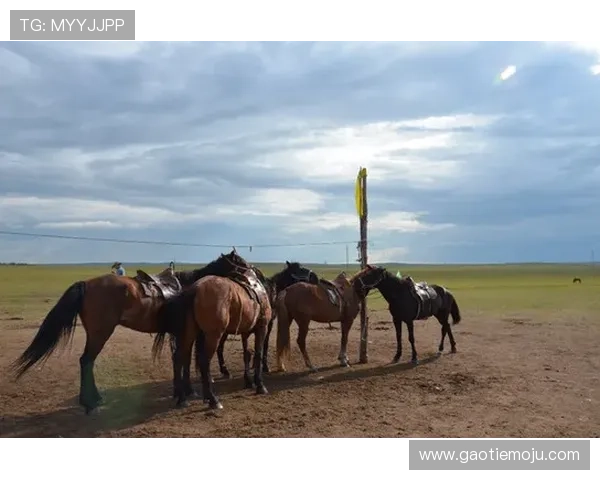 马罗恩：这几个月的努力与收获